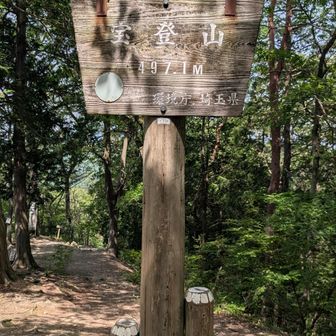 とりあえず宝登山🕺
高尾山に並び登頂回数トップに並びました🙋‍♂️