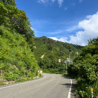 おつかれさまでした

スケジュール的に明日の方が良かったんですがAIに聞いたら今日だというので頑張って来ました🚗

睡眠時間45分だったけど楽しく登れたのはヒメサユリが美し過ぎたからだと思います

美しいって罪だわー