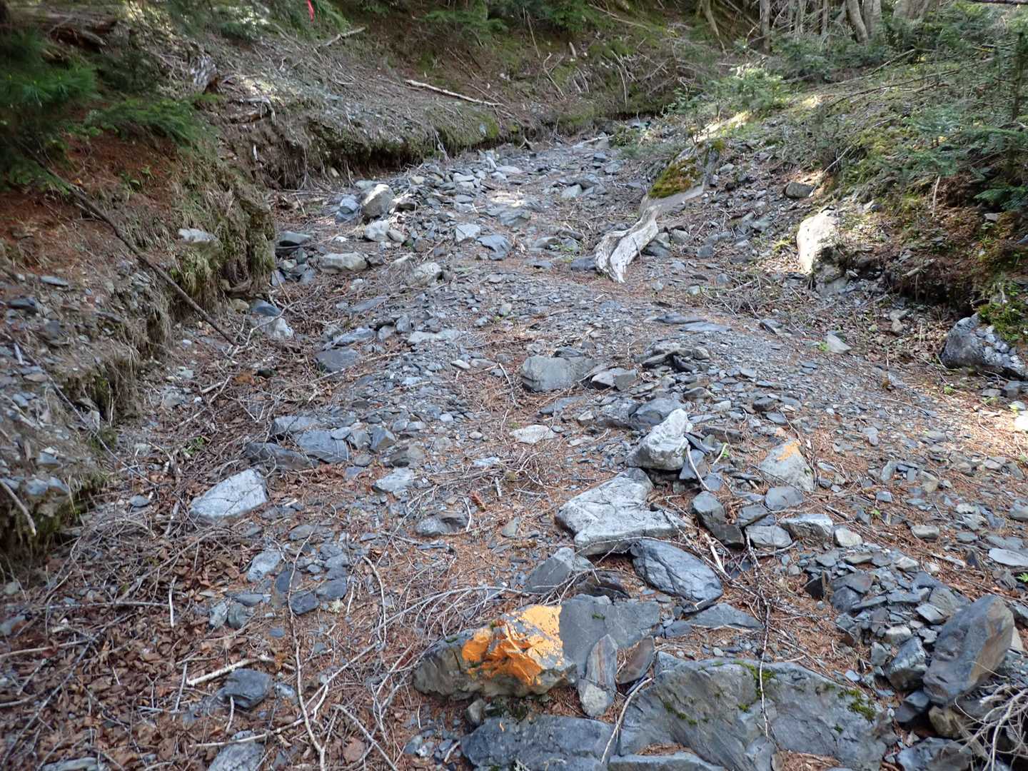 笊ヶ岳登山口-笊ヶ岳 往復コースの写真