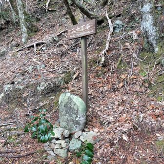 熊野古道 小辺路 二十丁石もありました！
