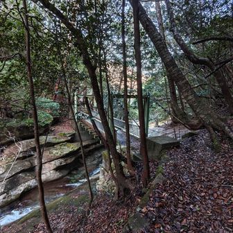 吊り橋渡ります🚶