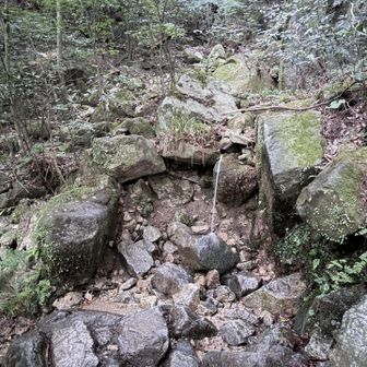 水場🚰
珍しく水シャンしました🚿