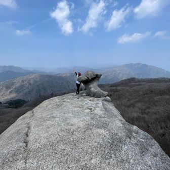 きのこ岩🍄‍🟫