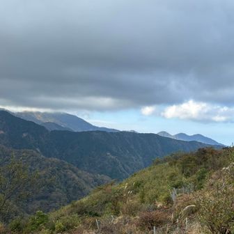 朝越えてきた丹沢三峰が顔を出している。