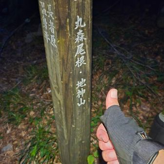 下山！！！
ずっと暑かったし尾根は登りも下りもきちーしなんやかんや累積標高2400やし、疲れた！！！