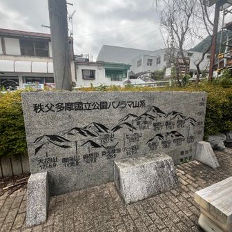 奥多摩ビジターセンターでゴール、ここからさ飲むぞー
