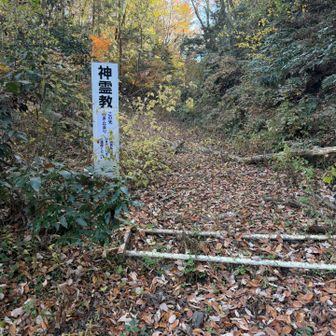 神霊教？ここから先は私有地のため入ってはなりません.....サティアン風？