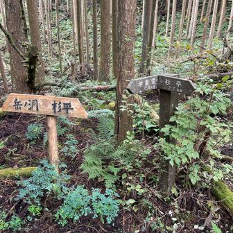 登り切った。