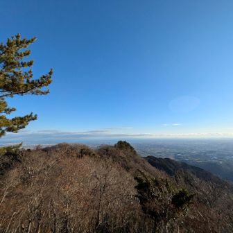 白米城はすごすぎて近づけない🧑‍🤝‍🧑…とおもったら！お花先輩いってたみたいで🤣いまから東屋でお茶することに☕
