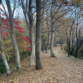 権現山へ向かいます。