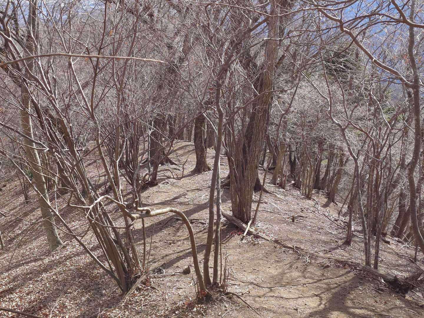 天国
これが　ずっと続いて欲しい