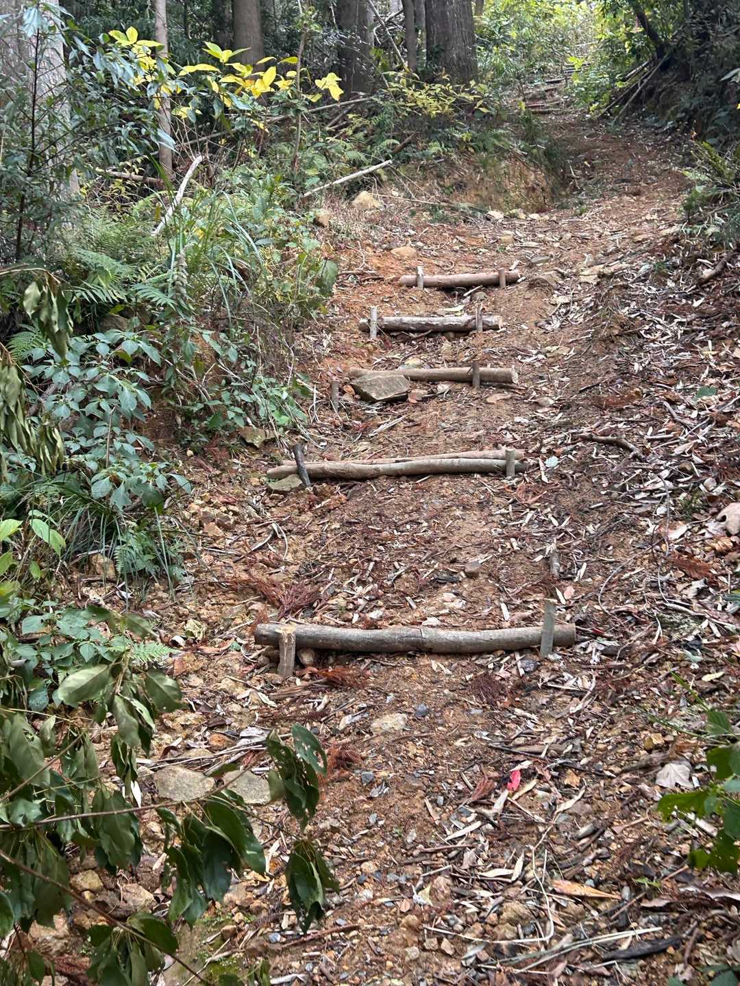 前日設置した登山口上の階段