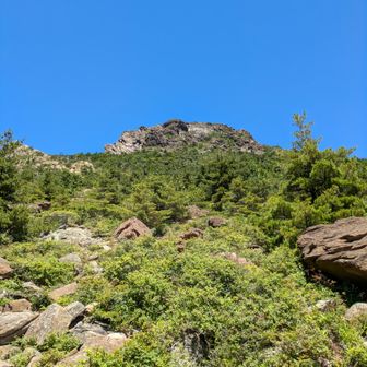 脱渓、登山道へ出ると抜ける様な青空