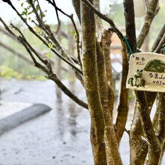 雨はやみそうにない😆