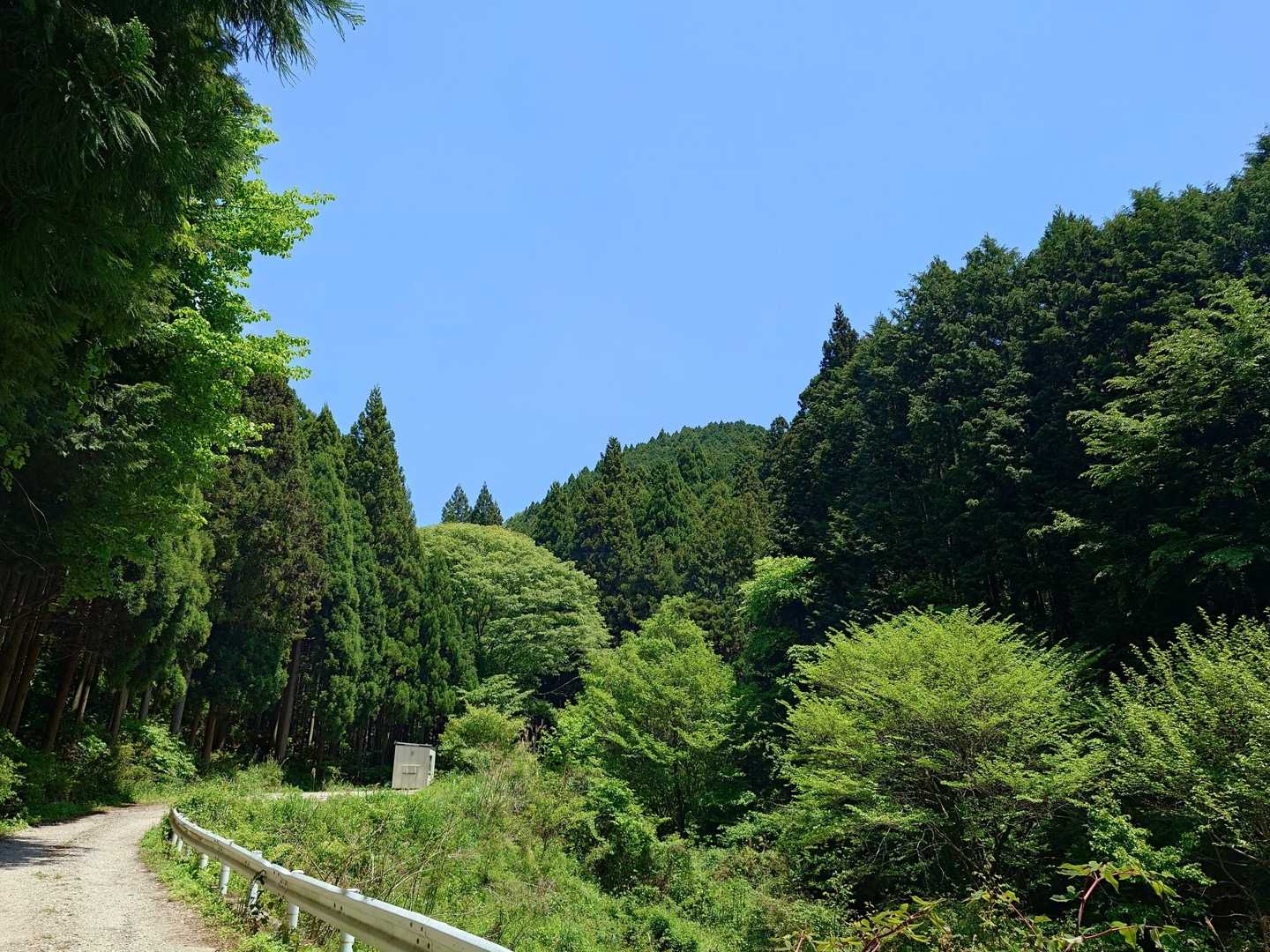 雲ひとつなく晴天✨

最近、仕事の日は晴天＆気温も適温
なのに…休みの日は曇天or雨で気温
低めだったので嬉しい(*´`)️