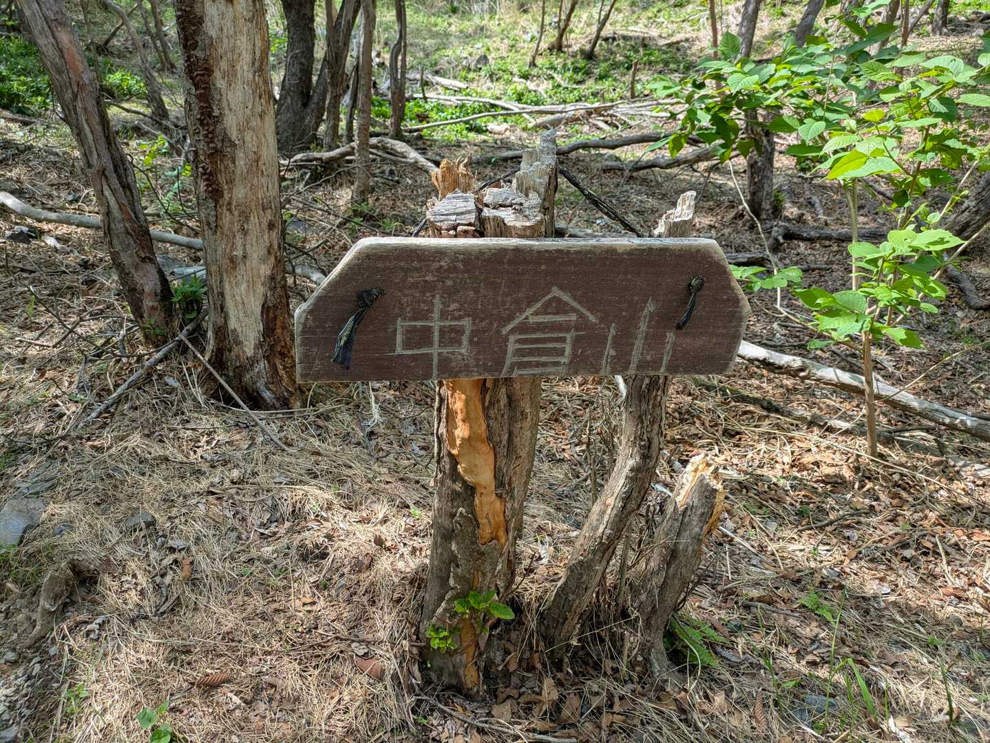 登山口まで降りて来ました
いやぁ～疲れたぁ〜🤣
まだ林道歩きが待ってます…