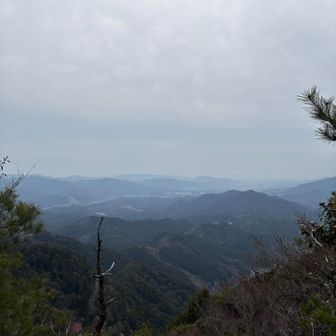 とても綺麗に見えました!