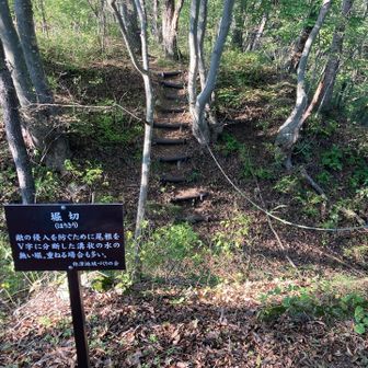 こちらのルートは城跡らしく、堀切がわかりやすいです。