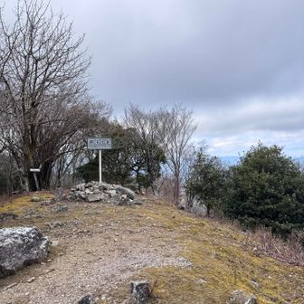 到着！頂上！獅子ヶ岳⛰️
733.3m