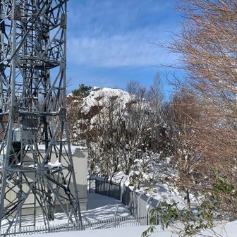 頂上エリア
向こうに見えるのが
岩神山の岩峰ピーク