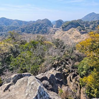 何とも言えぬ謎な雰囲気。
まさにゼルダの世界。😆