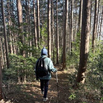 歩きやすい道です😃
今年最後はゆるゆる山行でした。
ありがとうございました🙇‍♀️
