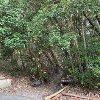 片縄山登山口スタート