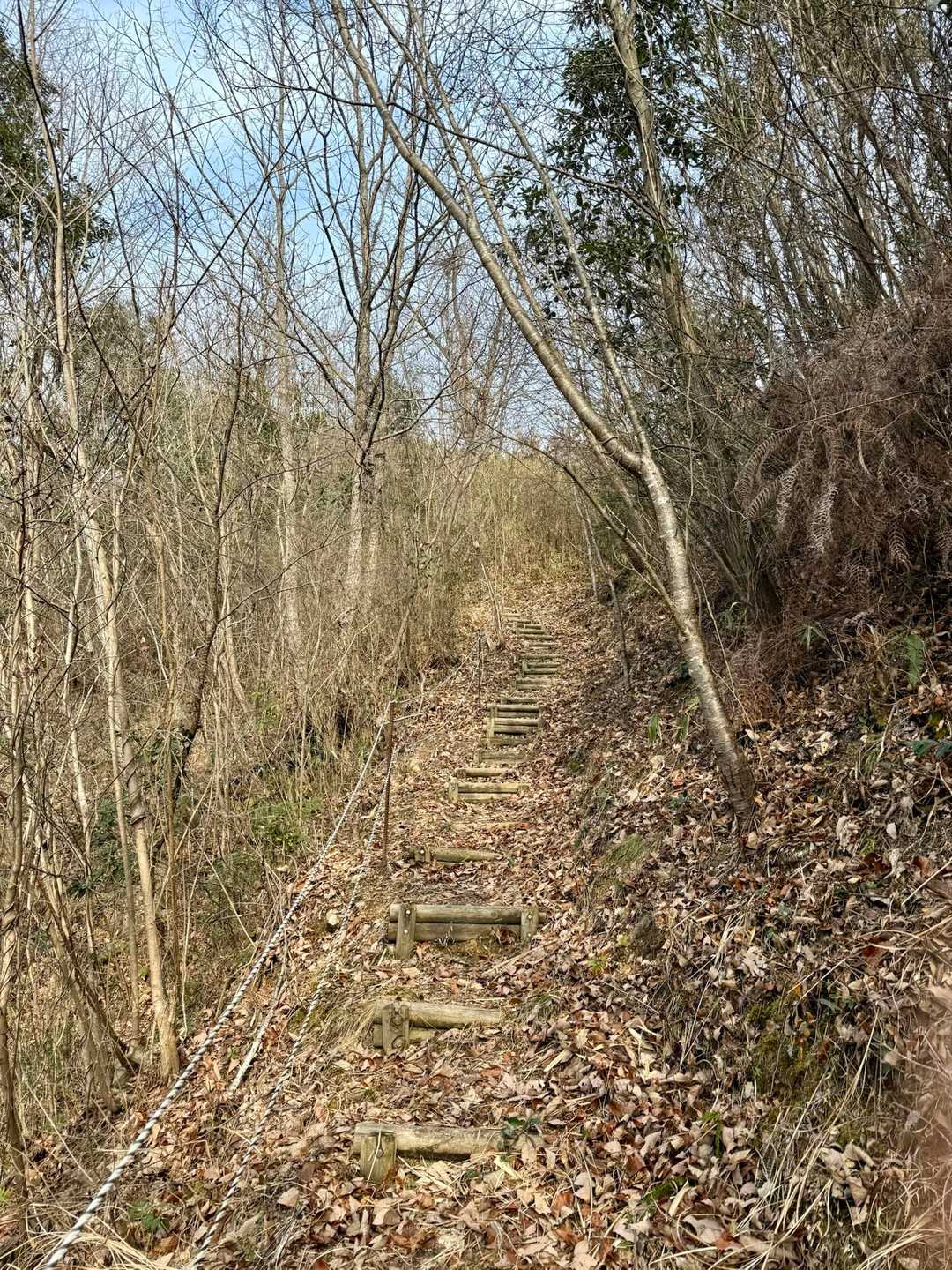 山頂手前の階段を登り