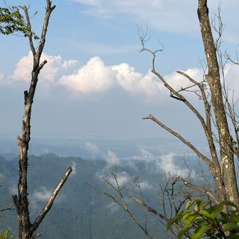 北でももっと遠くの空は怪しいですね
埼玉・群馬方面