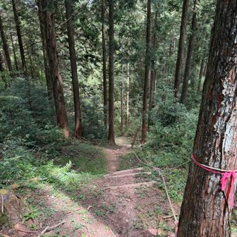 ここからロープ🪢と階段があって、かなりの急傾斜地のようです‼️💦