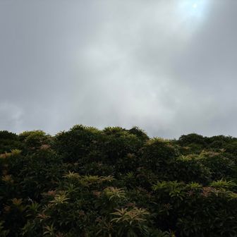 真っ白になってきた