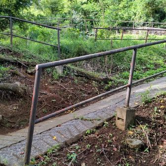 登山開始からまぁまぁこれからの登りがお出迎え。
