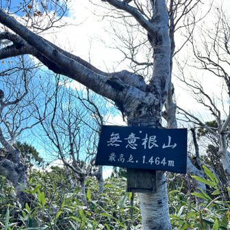 無意根山山頂標識
そこから少し行くと