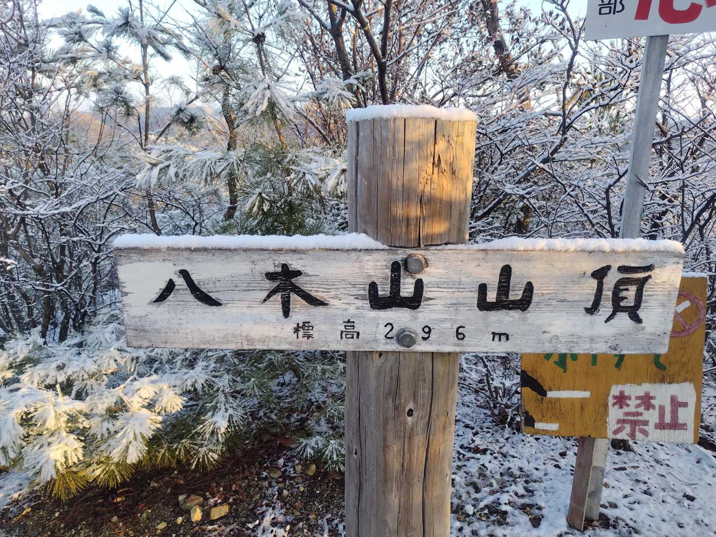 八木山に到着～😊