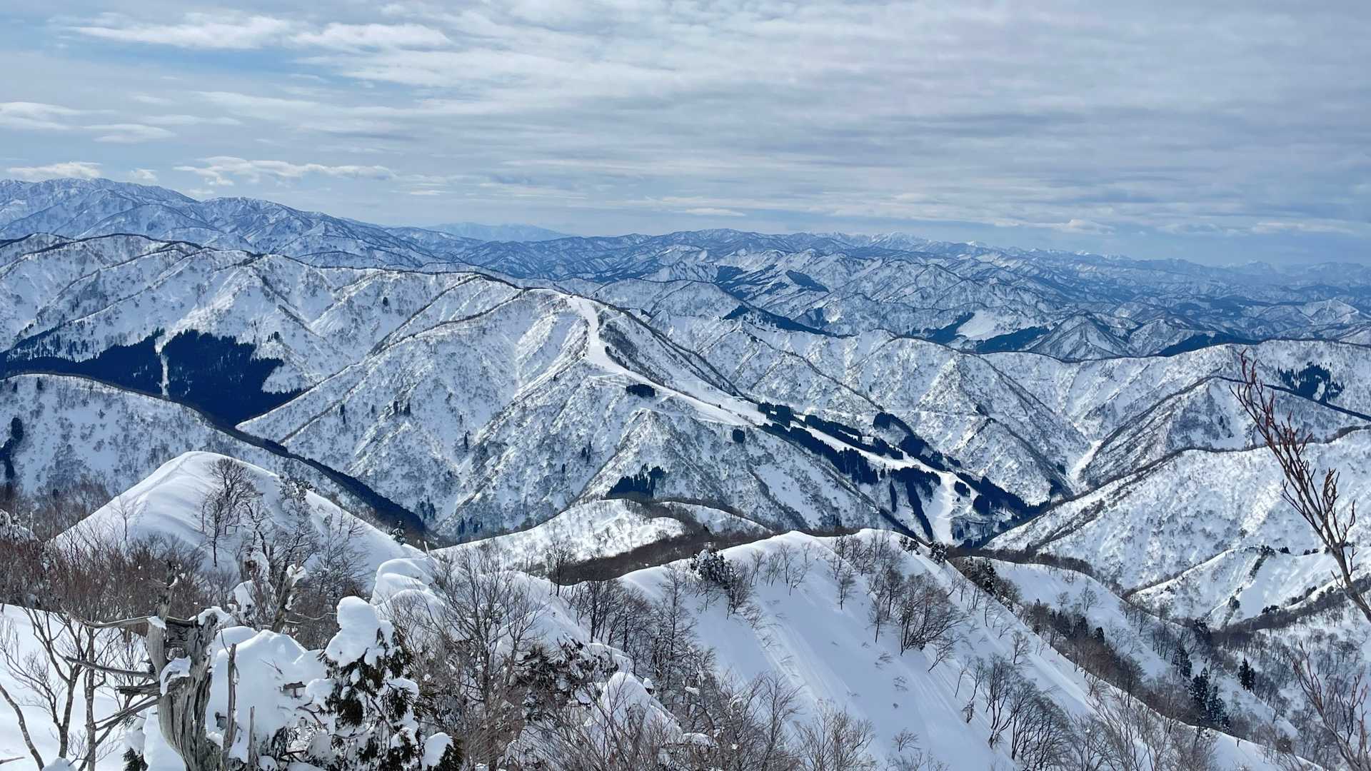 向かいにセイモアスキー場