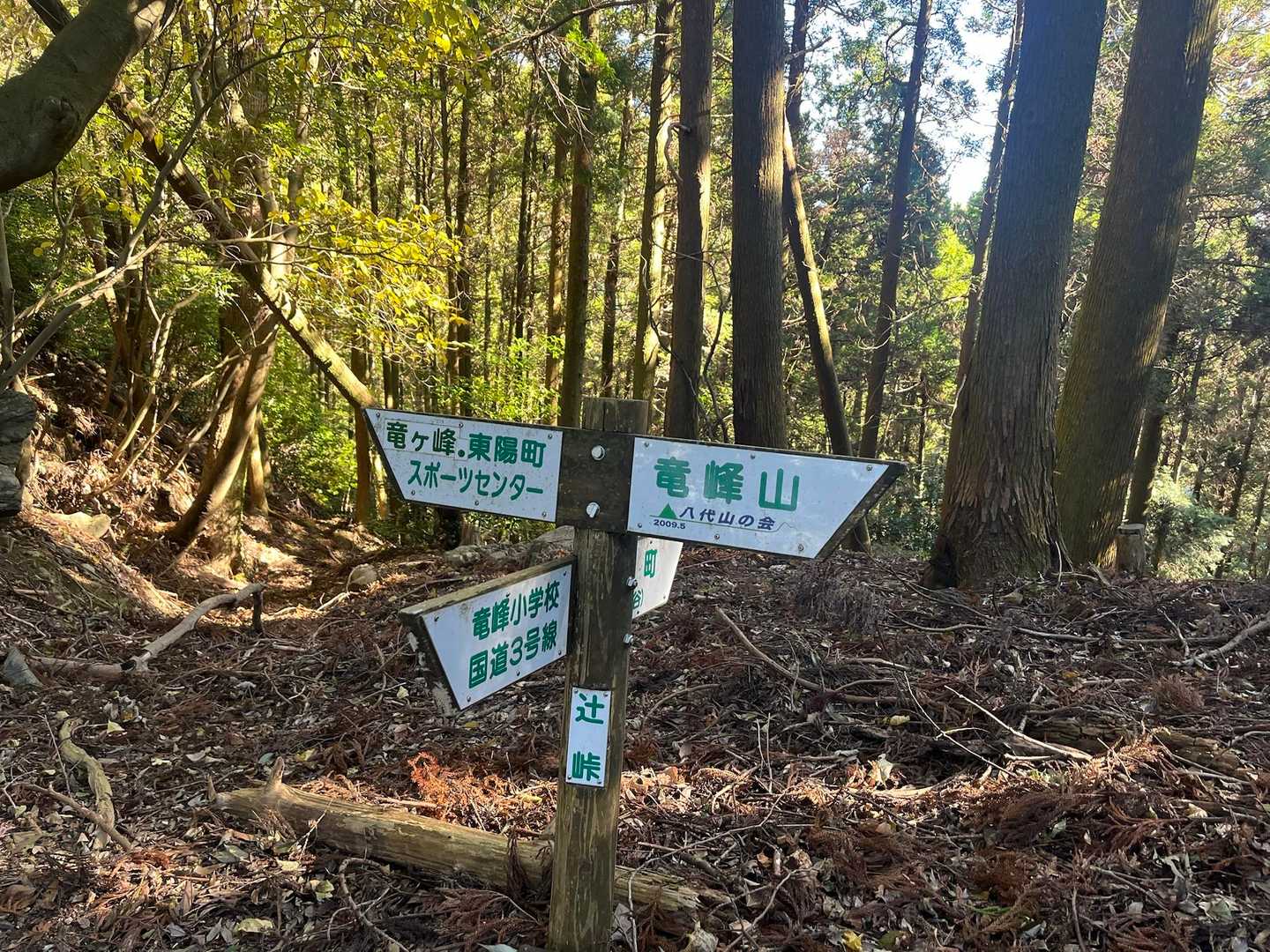 案内板もしっかりしてて今日も迷うことないの
八代のお山いいね！