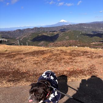 一歩も歩かん🐾