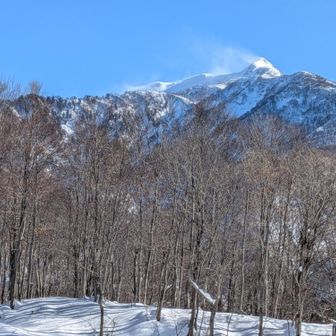 雨飾山の雪煙が凄い
絶対爆風😨