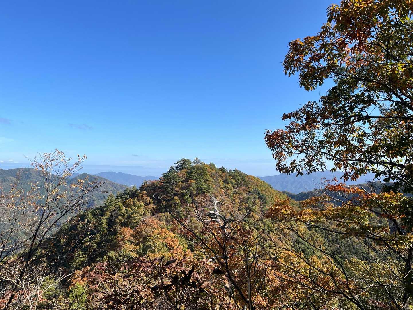 山肌は🍁いい感じ