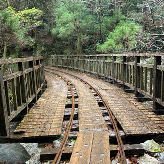 ここで遅れを挽回できそう！白谷雲水峡発13:45のバスに乗るよ！そして楠川温泉に浸かるよ！