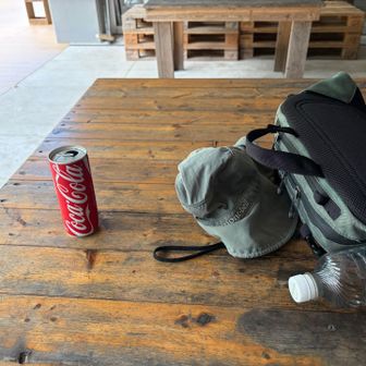 100円コーラ　ちょうど良くてありがたい　欲を言えばもっとビシッと冷えといて欲しい