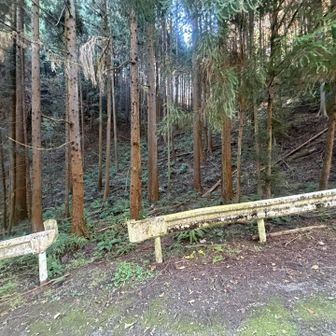 ココが取り付き