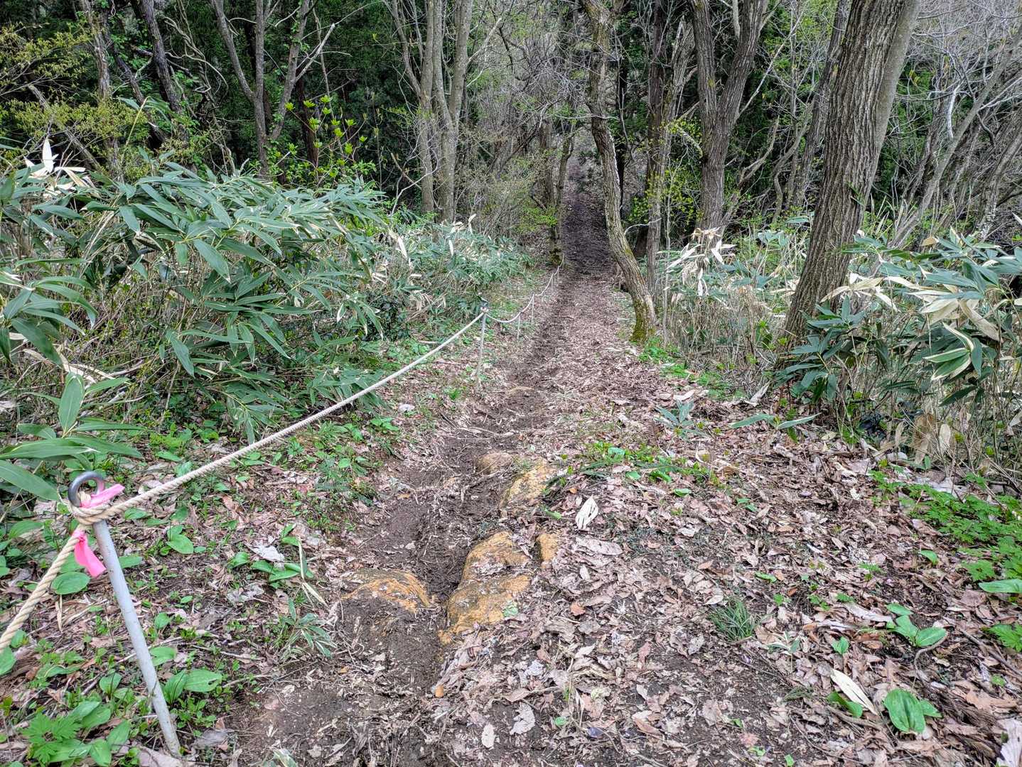 ここから道がこの山行一番の急登でした

下りでしたがロープがなければ降りれませんでした

足元が泥濘んでるので滑ってメッチャ大変でした