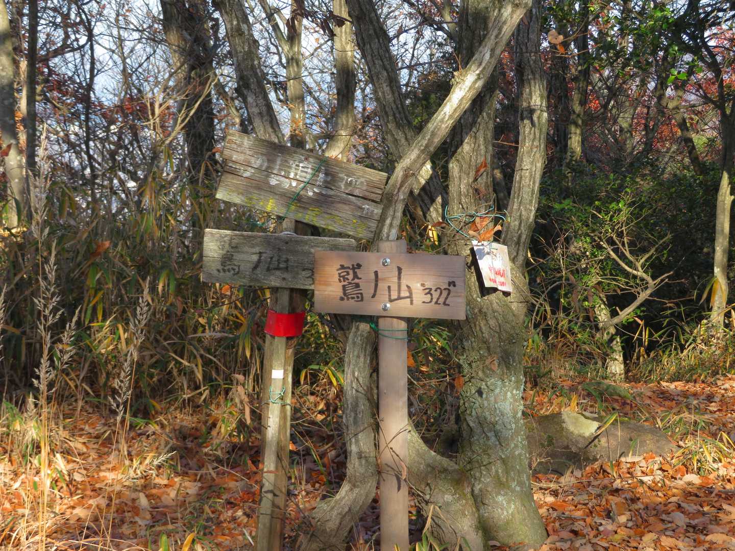 鷲ノ山322ｍ山頂　眺望ほとんどなし　今度は北側の峰ケ原へ向かう