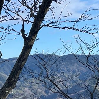 わかりやすい高鈴山🗼