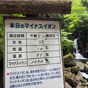 マイナスイオンが3890個/cc‼️
一般の家庭では、0個〜100個やって