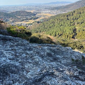 西テラス
豊橋市内を一望出来ます