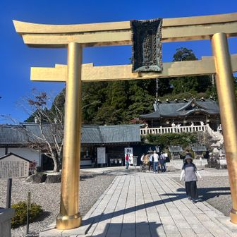 本宮到着⛩️
茅の輪はありませんでした。
お正月だけなのかな？