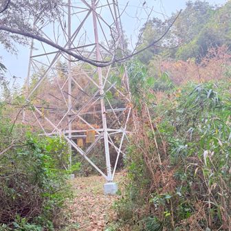 ここの鉄塔過ぎたあたりから倒木で荒れていると聞きました⚠️