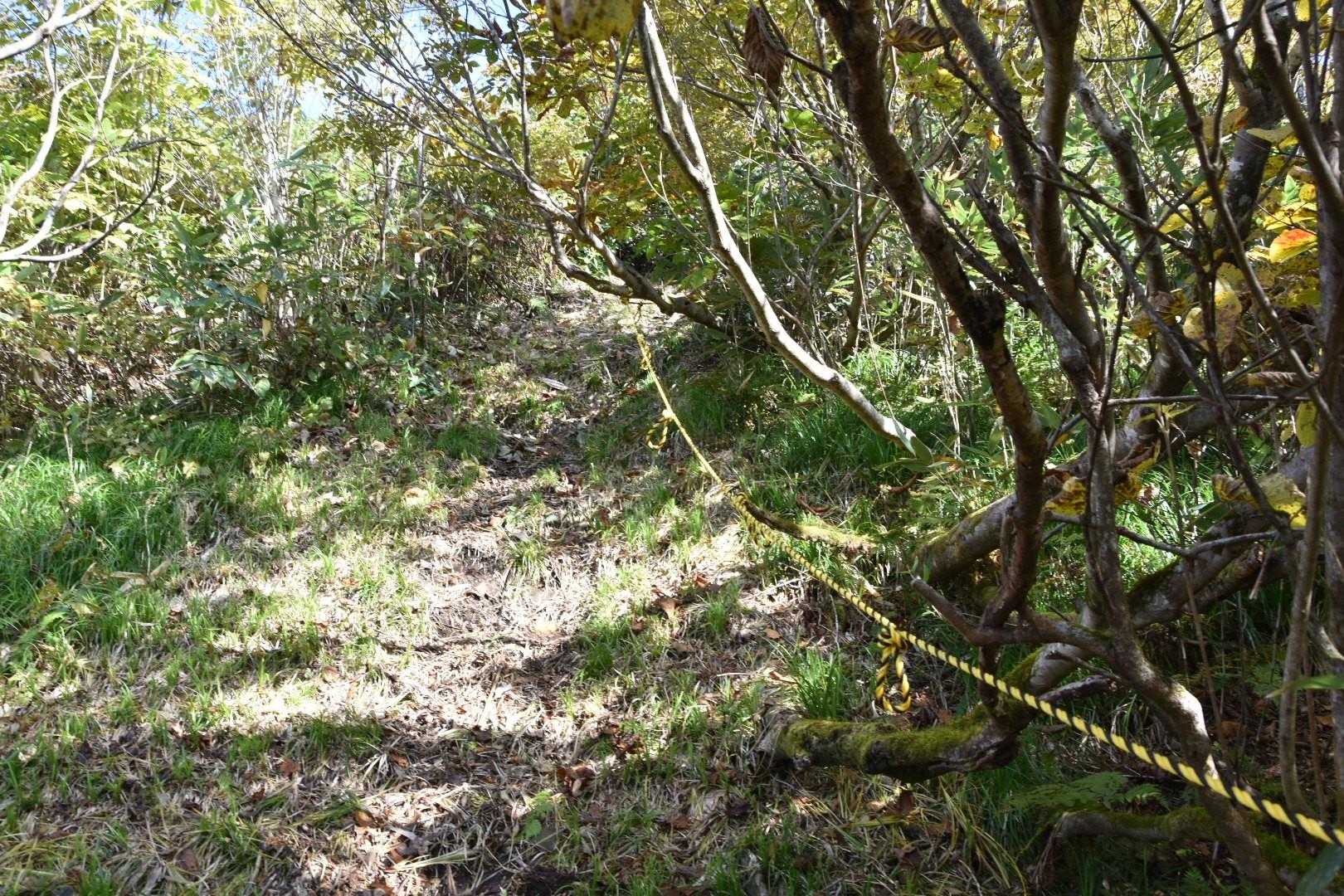 関山トンネル-寒風山-白髪山 往復コースの写真